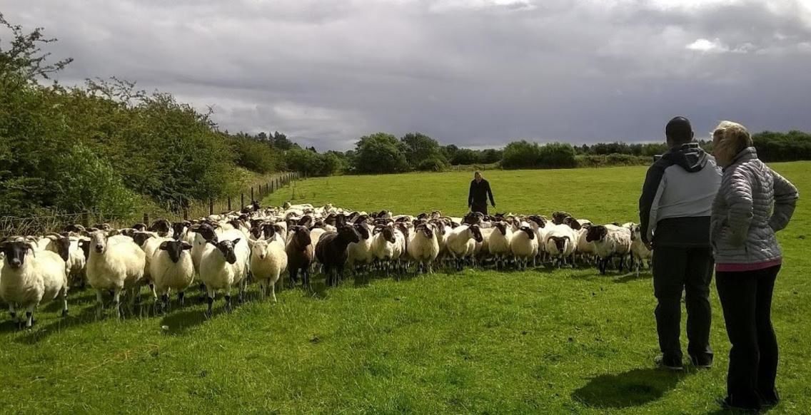 Дома для отпуска Ireland West Farm Stay Carracastle-16