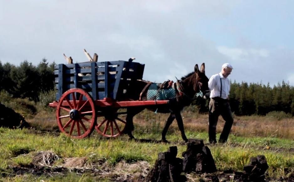 Дома для отпуска Ireland West Farm Stay Carracastle-23